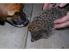 DSCN3481 - �����.JPG