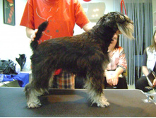 15. 06. �� �� ���������