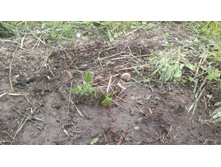 ����� ������� 11.jpg