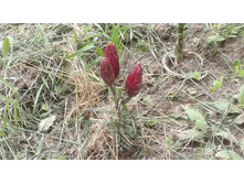 ������ �����.jpg