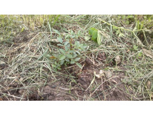 ����� ������� 1.jpg