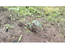 ����� ������� 3.jpg