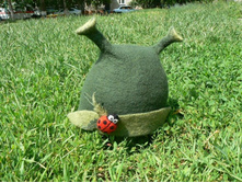 ����� "�����"