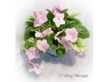 23-���� ������.JPG