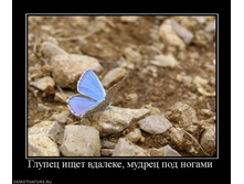 17.06.2011 22:34:13