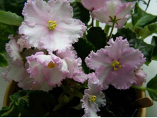 ������ ��� 18.06.11.JPG