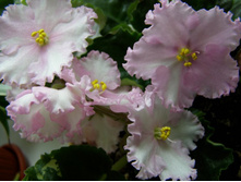 ������ ��� 18.06.11 (1).JPG