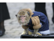 ��������� :)