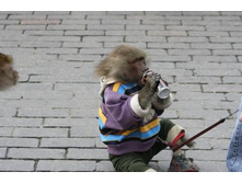 ��������� ���