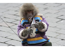 ��� ��� � ���������