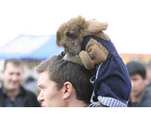 ������ ������ ���� ���