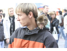 ����������