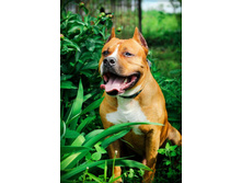 ������� 2.jpg