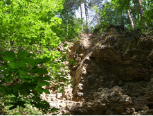 DSCF1223.JPG