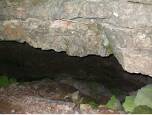 DSCF1229.JPG