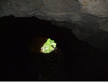 DSCF1232.JPG