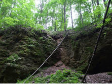 DSCF1238.JPG