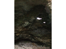 DSCF1241.JPG