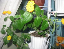 ����������� 228.jpg