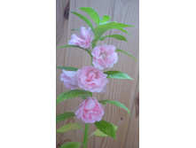 ��������� �� �������