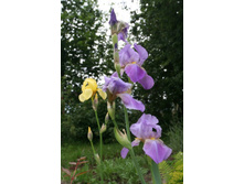 �������� 025.jpg