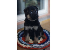 1 ���. 10 ����.jpg