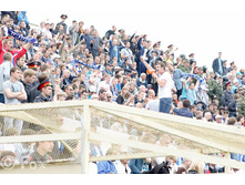 zenit (1 �� 1).jpg