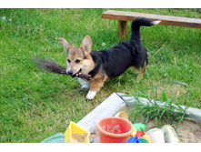 ����������� 092.jpg