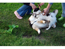 ����������� 126.jpg