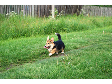 ����������� 136.jpg