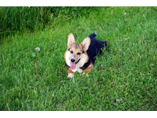 ����������� 162.jpg