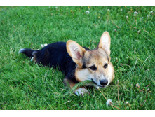 ����������� 169.jpg