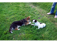 ����������� 188.jpg