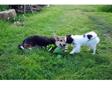 ����������� 212.jpg