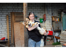 ����������� 244.jpg