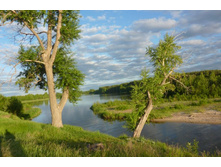P1010195.JPG