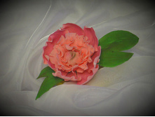 ���� ������.jpg