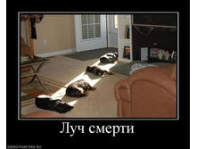 Demotivator s_42.jpg