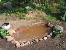 ����������� 021.jpg