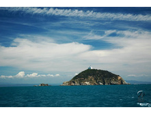 �������� ����������