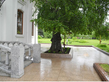 ������ �� ������ �.����������