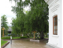 ������ �.���������� � ��� �������