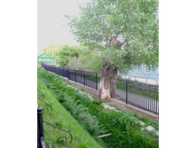 ������ ������ �� �������