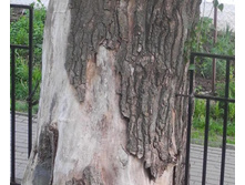 ������ �� ������� (��������� ������)