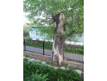 ������ �������. ������ ������.