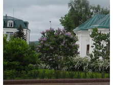 ����� ���, ��� � �����