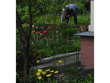 ����� � ����