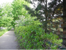 ����� �������� ����� �������