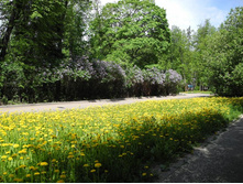 ������ ���