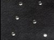 ������ ����. ������